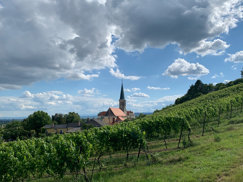 Alsace Wine Route — storybook villages and expressive whites, curated with biodynamic tastings and a light, characterful rhythm