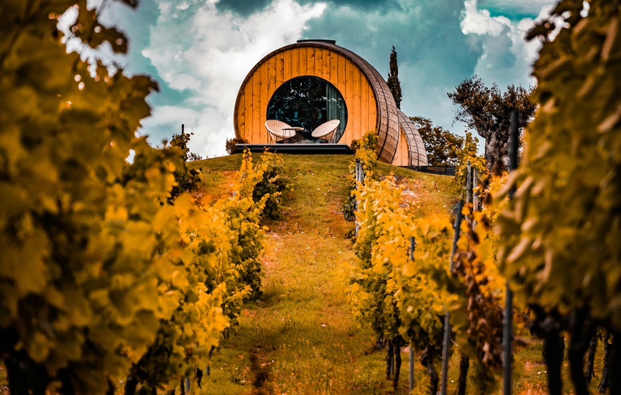 Douro Valley — terraced vineyards and river serenity, curated with tastings, chef dinners, and slow-luxury lodge stays